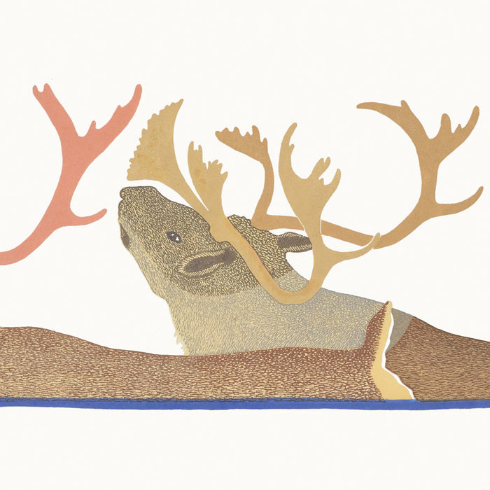 RELEASE :  Cape Dorset Print Collection 2017