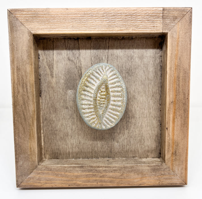 Diatom Magnet Frames