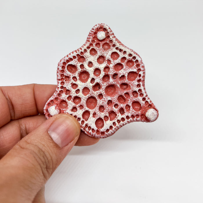 Diatom Magnet Frames