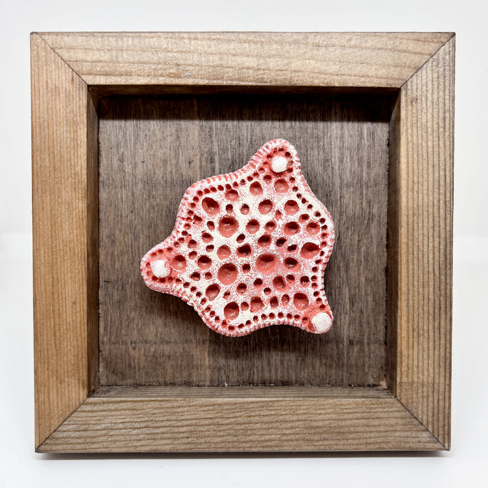 Diatom Magnet Frames