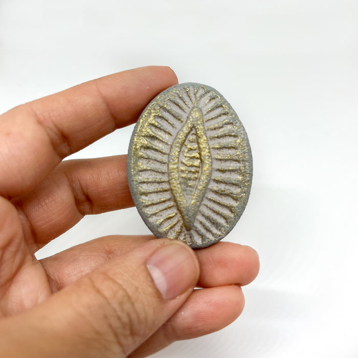 Diatom Magnet Frames