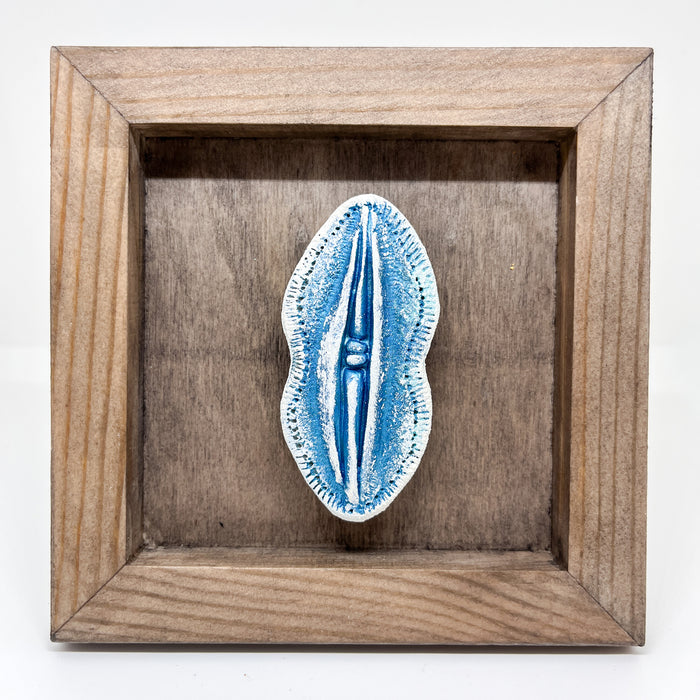 Diatom Magnet Frames