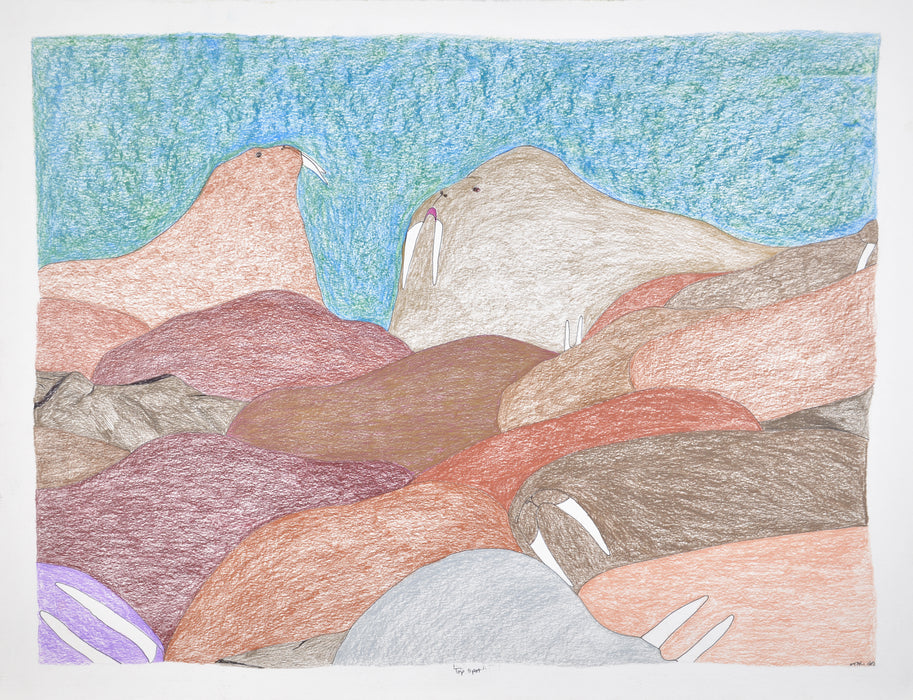 Top Spot - Original Drawing