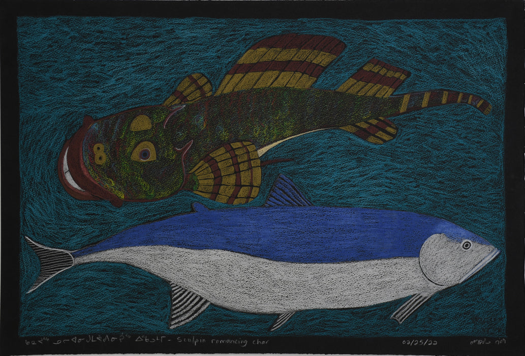 Sculpin Romancing Char - Original Drawing