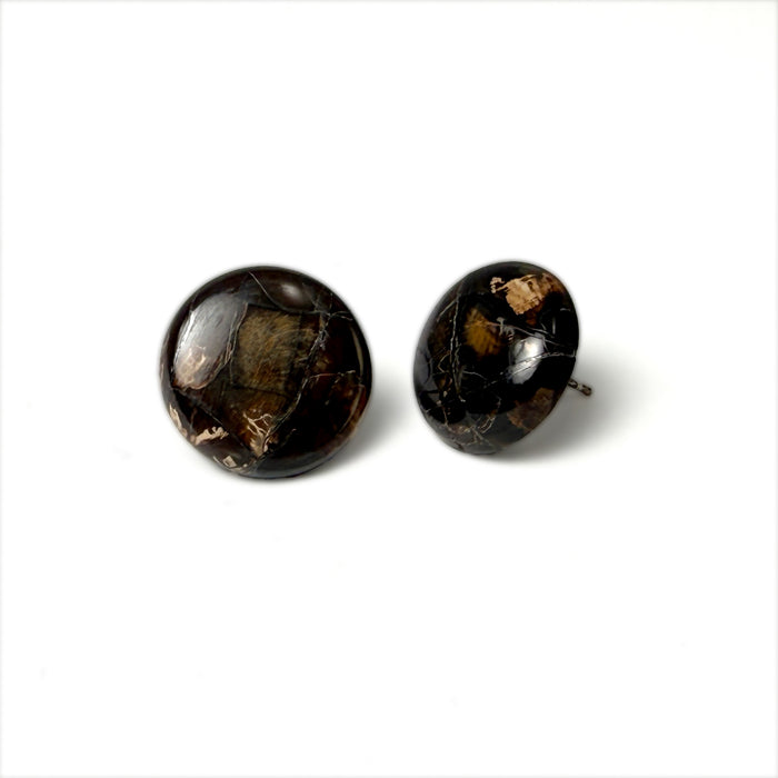Dark Mammoth Tooth Earrings