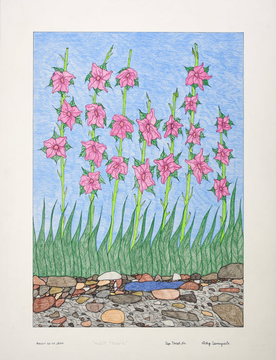 Original Drawing