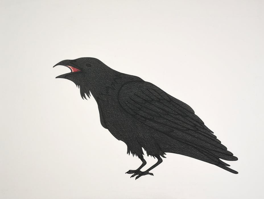 Original Drawing - Black Raven