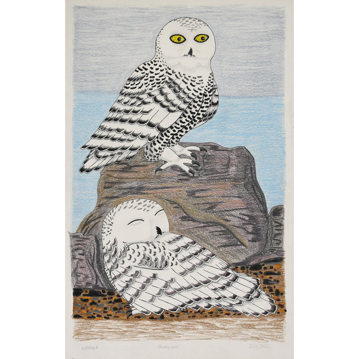 206-0148 Resting Owls