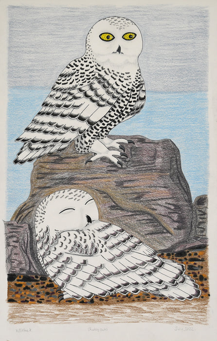 206-0148 Resting Owls