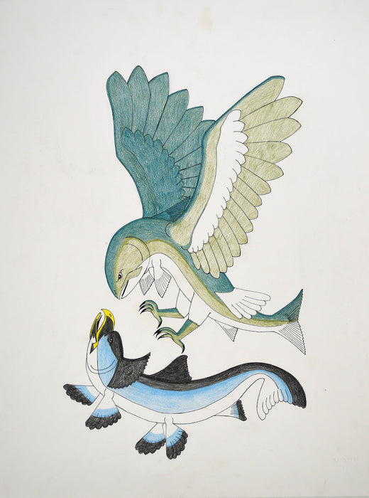 Original Drawing Imagination Breed-Hawk or Fish