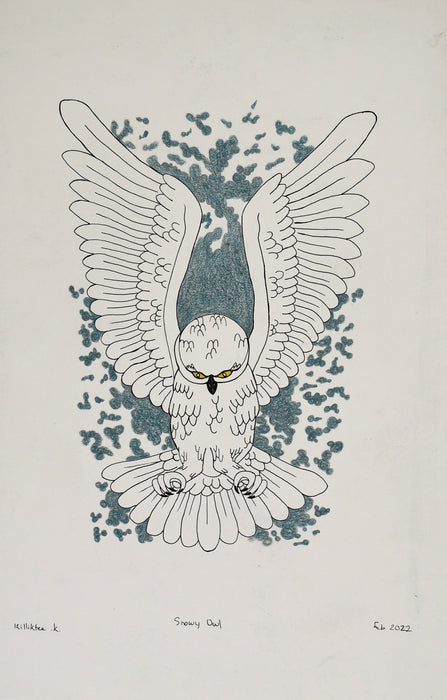 206-0226 Original Drawing - Snowy Owl