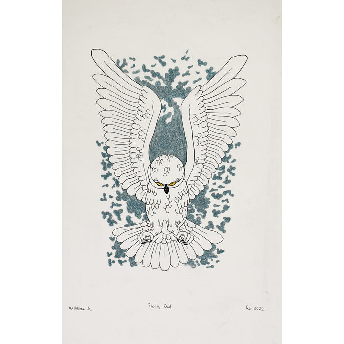 206-0226 Original Drawing - Snowy Owl