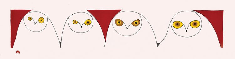 21. Owl’s Illusion