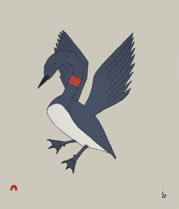 16. Misijuq (Descending Loon) - 2025 CAPE DORSET Annual Print Collection