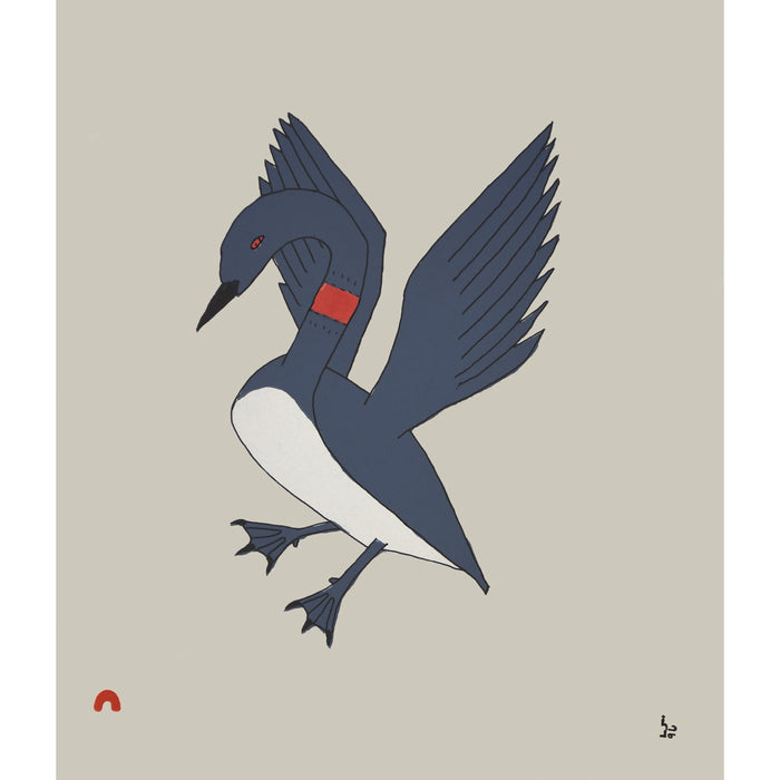 16. Misijuq (Descending Loon) - 2025 CAPE DORSET Annual Print Collection