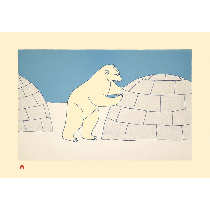 10. Nosy Bear - 2026 CAPE DORSET Annual Print Collection