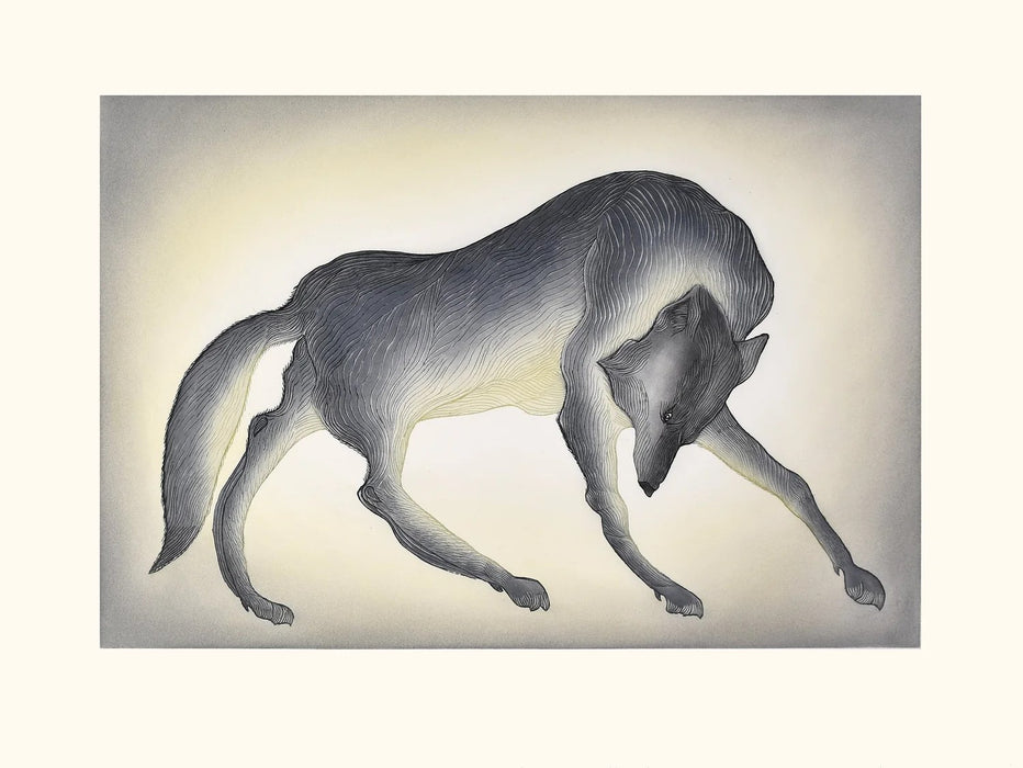 25. Impassioned Wolf - 2026 CAPE DORSET Annual Print Collection