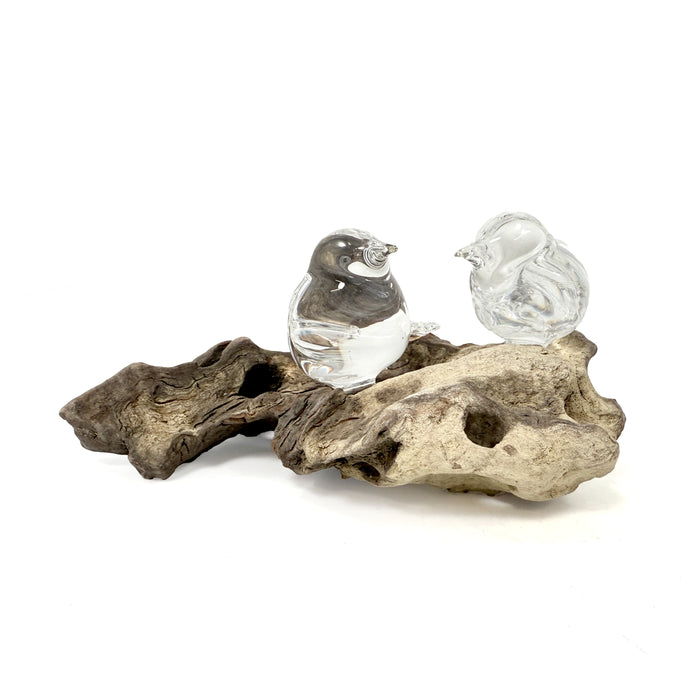 2 Clear Birds on Driftwood