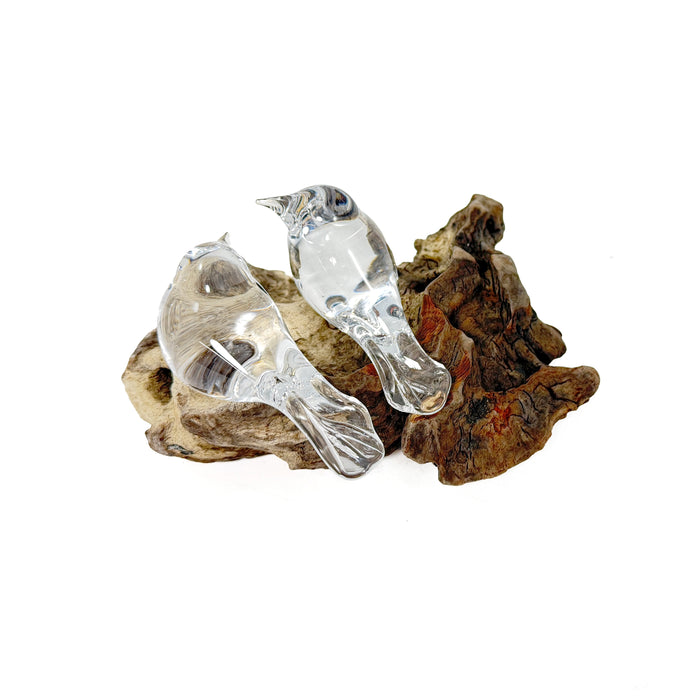 2 Clear Birds on Driftwood