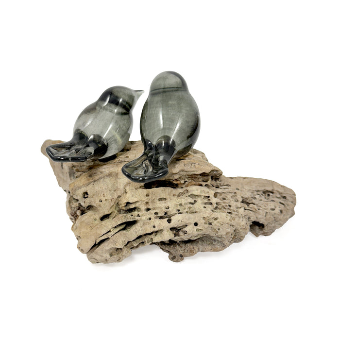2 Grey Birds on Driftwood