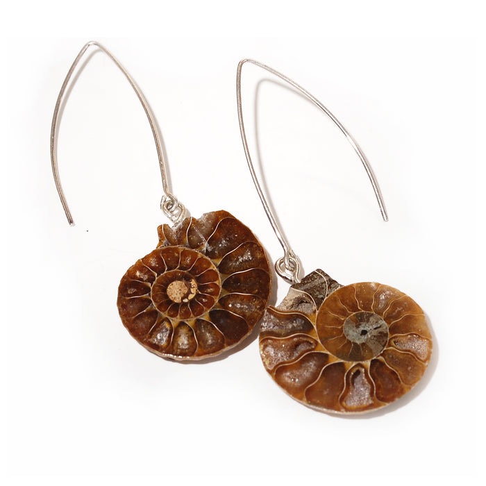 Ammonite Earrings