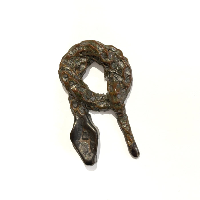 Baby Snake