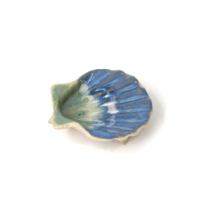 Small Clam Dish
