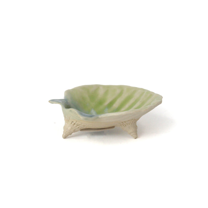 Small Clam Dish