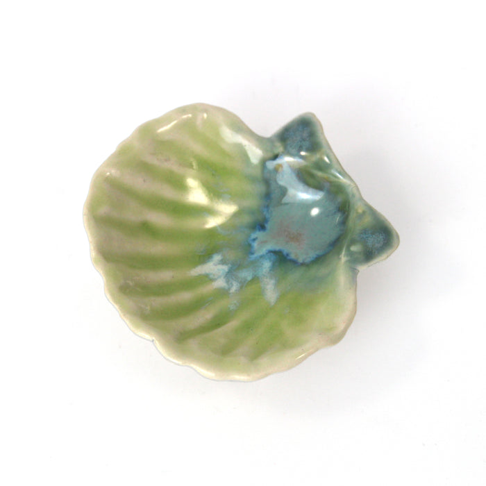 Small Clam Dish