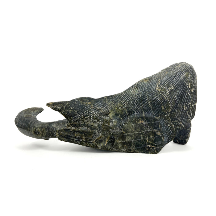 Sedna