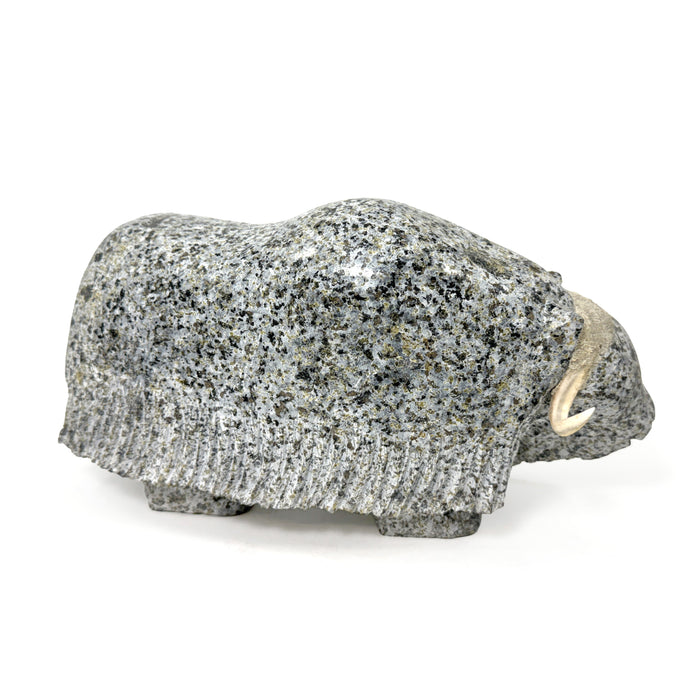 Musk Ox Carving by Kellipalik Etidloie