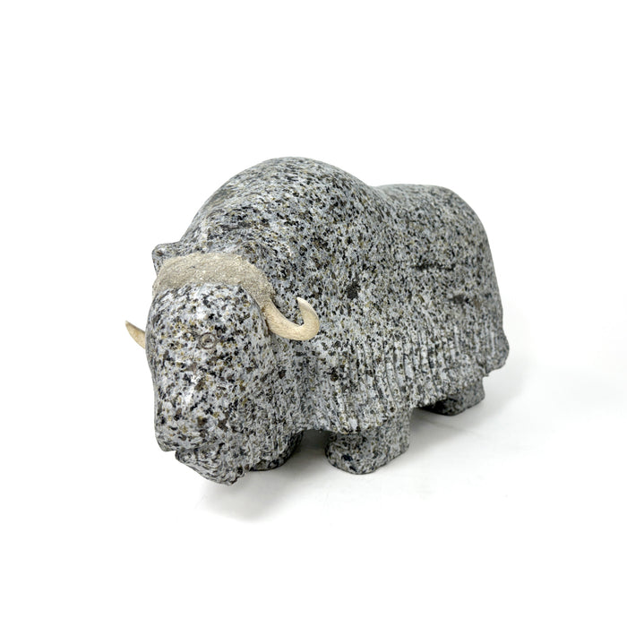 Musk Ox Carving by Kellipalik Etidloie