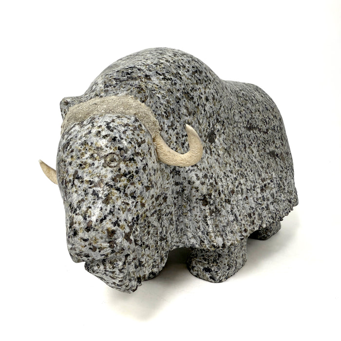 Musk Ox Carving by Kellipalik Etidloie
