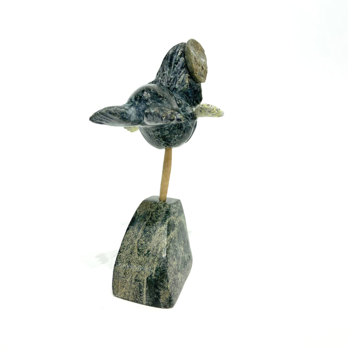 Sedna Spirit