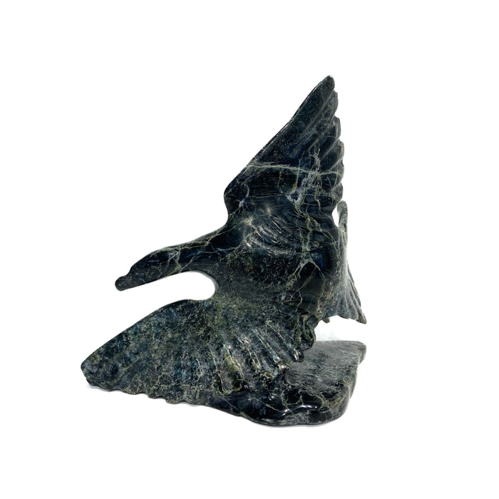 Flying Goose