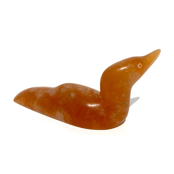 Loon