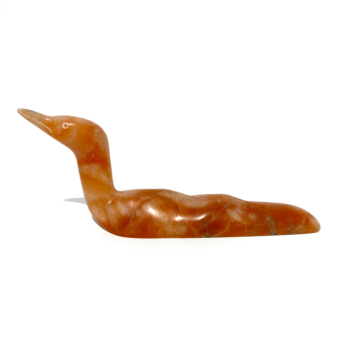 Loon