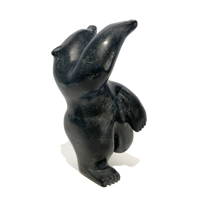 Dancing Polar Bear