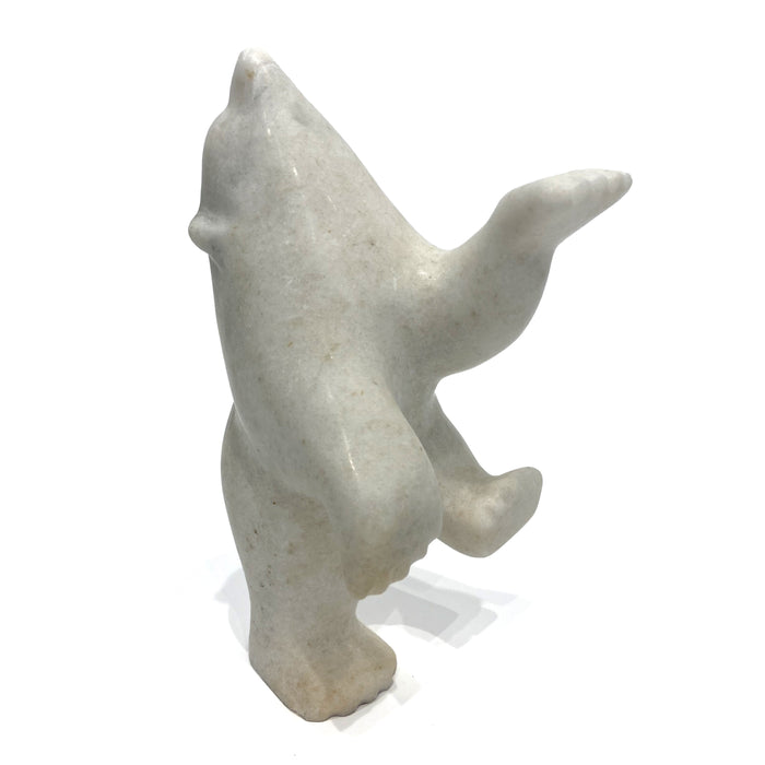 Dancing Polar Bear