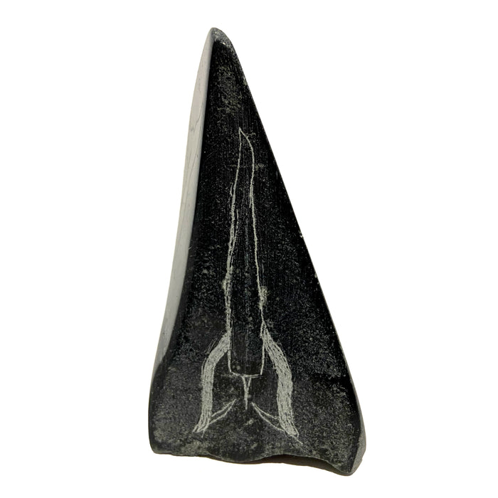 Orcas Etched on Stone