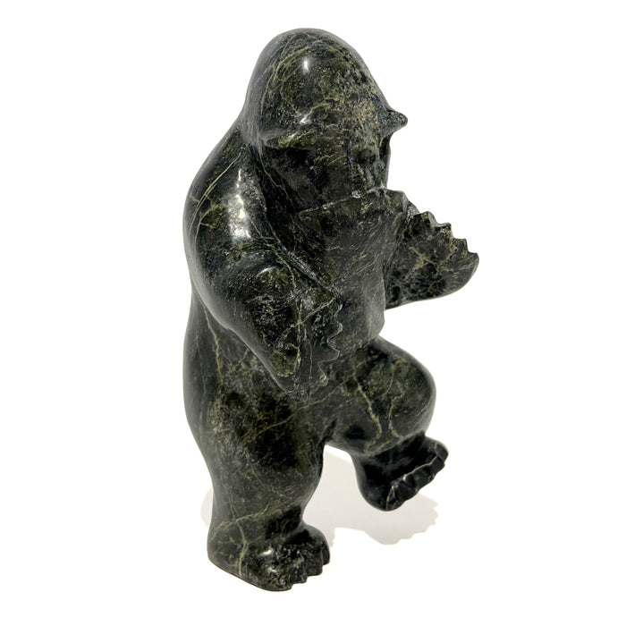 Bear in Garbage
