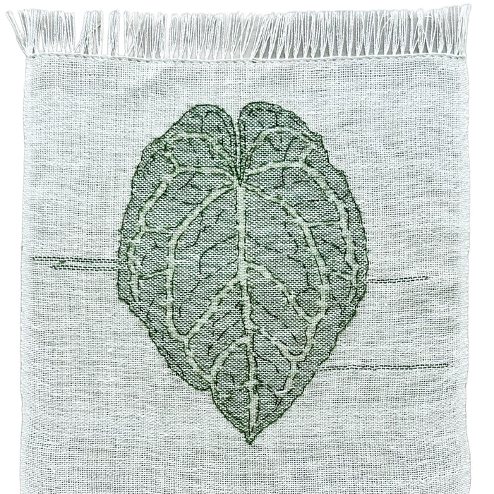 Object Study - Anthurium Crystallinum