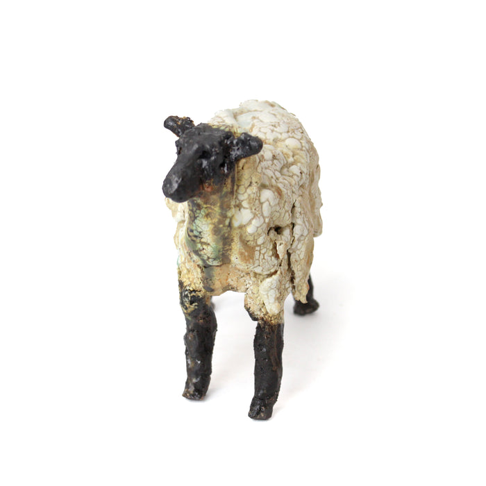 Medium Sheep