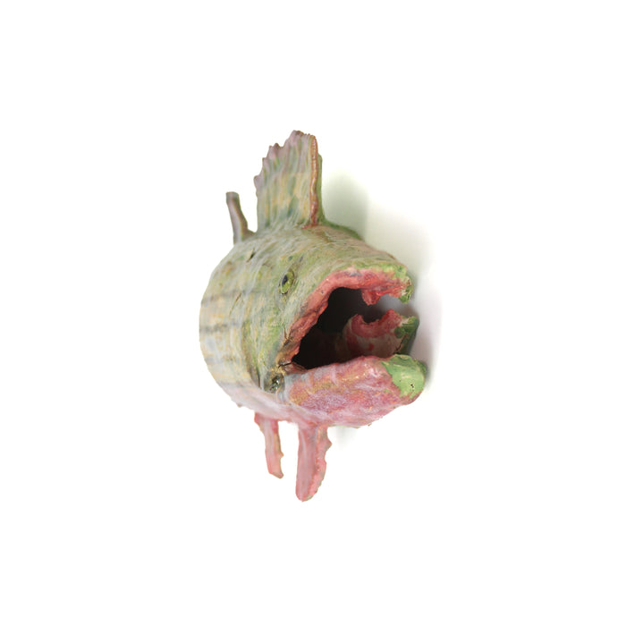 Wall Fish