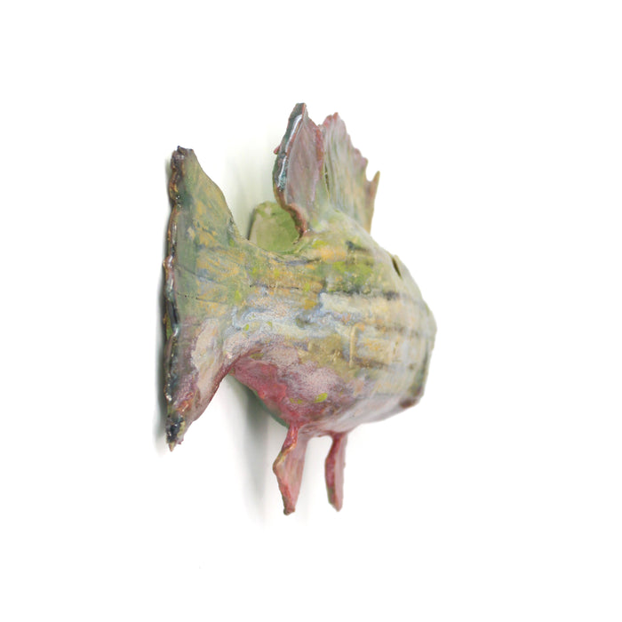 Wall Fish
