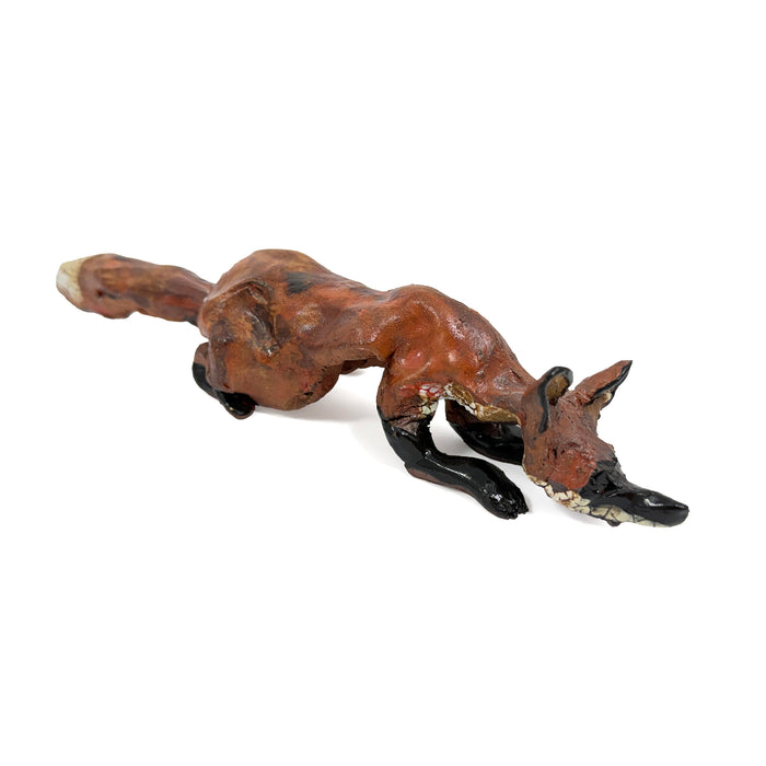 Playful Fox