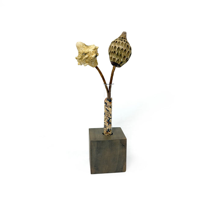 Propagation Seed Blocks - 2 Seeds