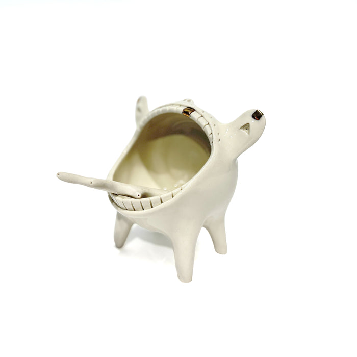 Porcelain Salt Container and Spoon