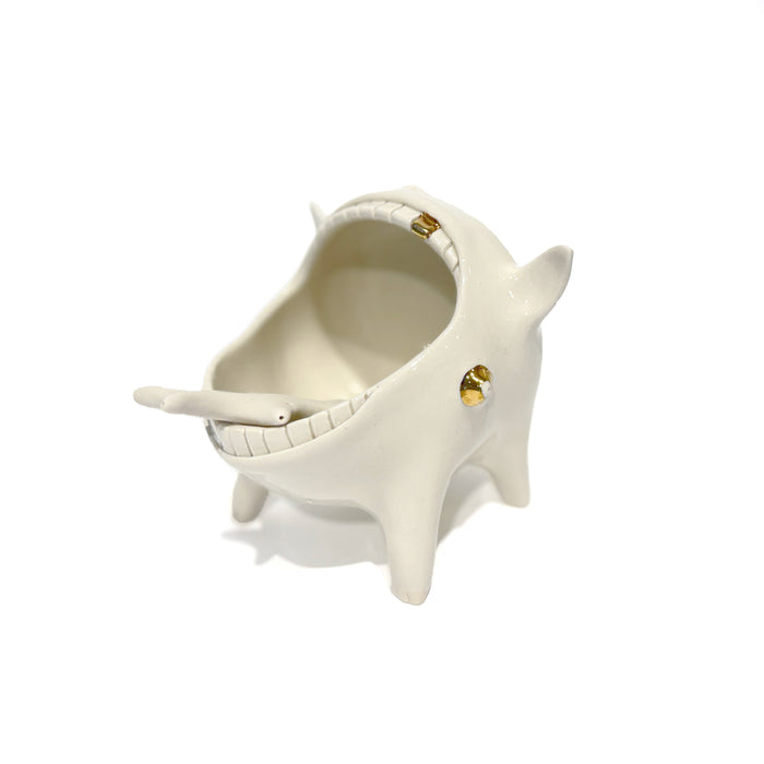 Porcelain Salt Container and Spoon