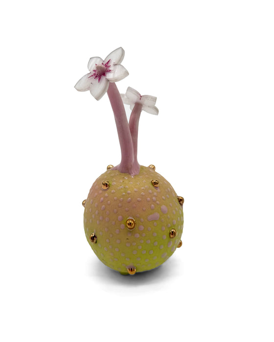 Potted Plant #1